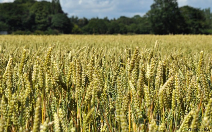 宇辰網(wǎng)_讓世界讀懂無人機(jī)_全球?qū)I(yè)無人機(jī)服務(wù)資訊平臺 河北智飛極農(nóng)無人機(jī)科技|一鳶科技|行業(yè)定制無人機(jī)