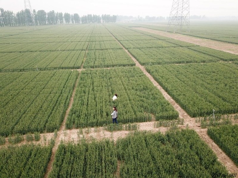 1526269213981034.jpg 河北智飛極農(nóng)無人機(jī)科技|一鳶科技|行業(yè)定制無人機(jī)