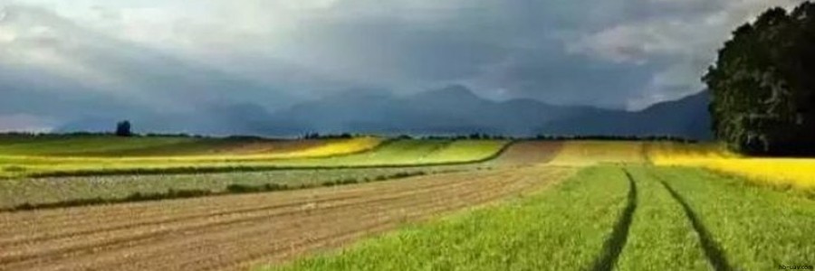 2017年農業補貼申請已經開始，這30個項目都可以拿到國家補貼